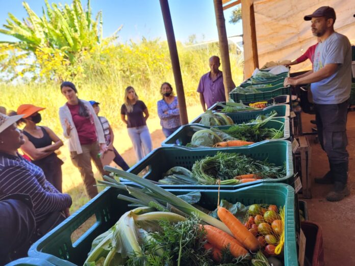 Produtores rurais das bacias do Descoberto e do Paranoá, fontes de recursos hídricos no DF, participaram de curso promovido pela Sema, por meio do projeto CITinova